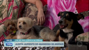 casos-de-abandono-animal-aumentam-no-final-do-ano