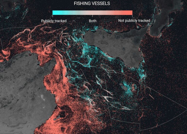 a-analise-de-imagens-de-satelite-mostra-a-imensa-escala-da-industria-pesqueira-escura