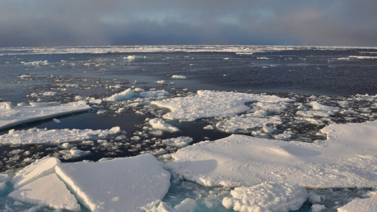 estudo:-o-artico-podera-estar-livre-de-gelo-ate-2035