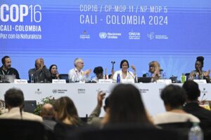 cop16-e-suspensa-apos-fracasso-nas-negociacoes-sobre-financiamento-para-salvar-a-natureza